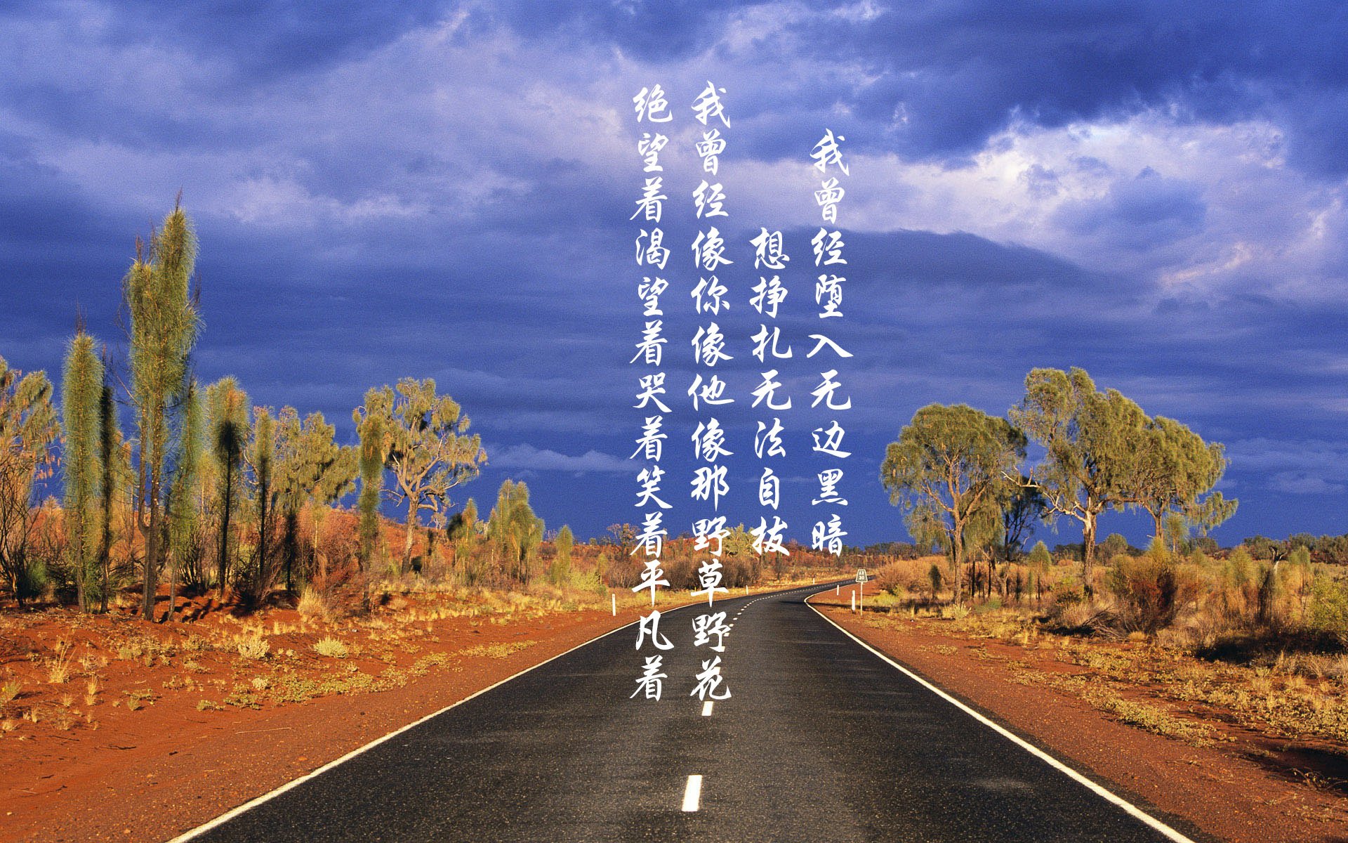 西甲国家德比之夜，库里惊艳四座，当篮球传奇闯入足球圣殿