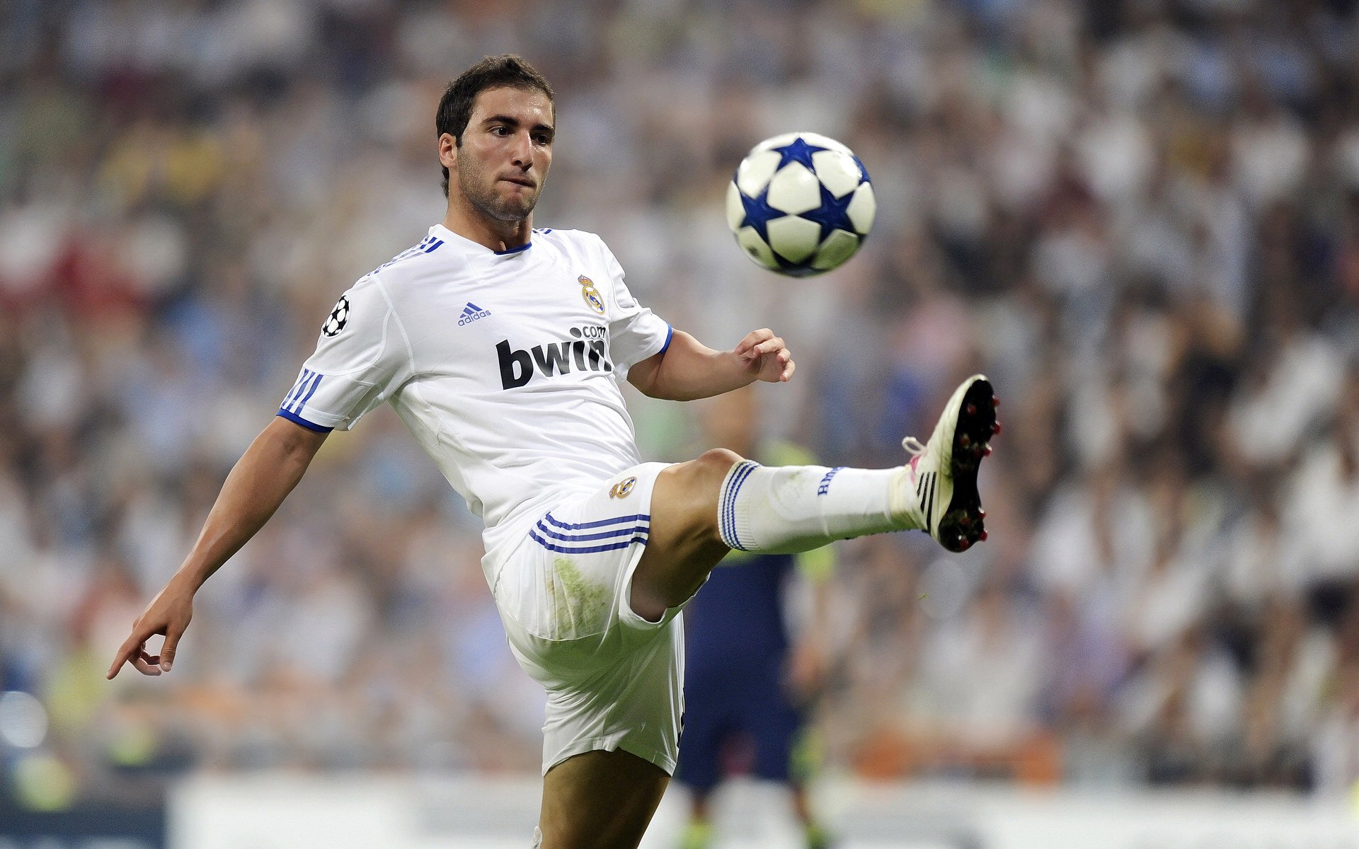 开云体育app-绝地反击！范弗利特神兵天降，雄鹿淘汰赛惊险过关深圳队