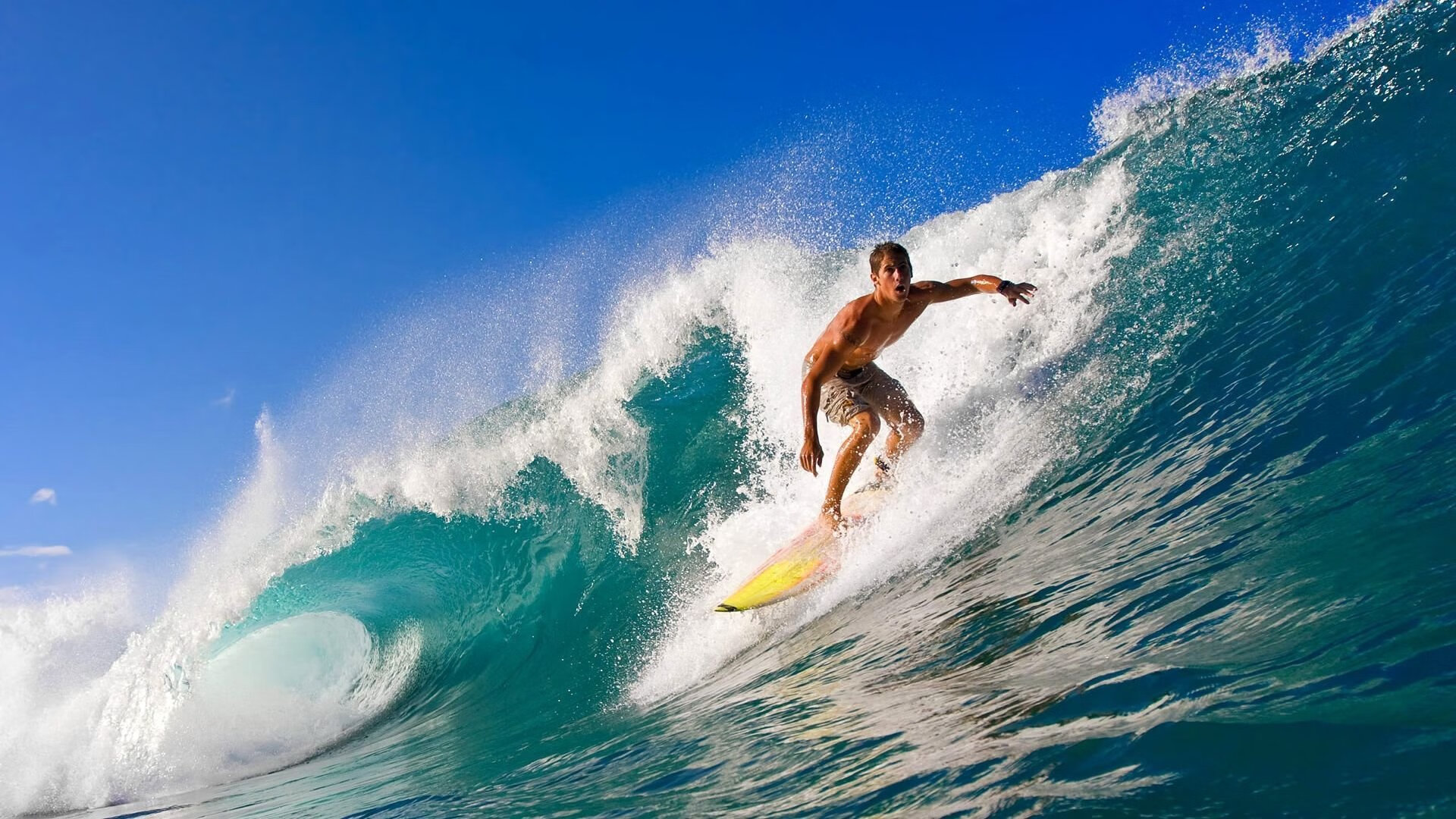 盾牌缄默,音符消逝,当雄鹿的禁区成为国王难越的叹息之墙,谁执掌了缄默的权杖?