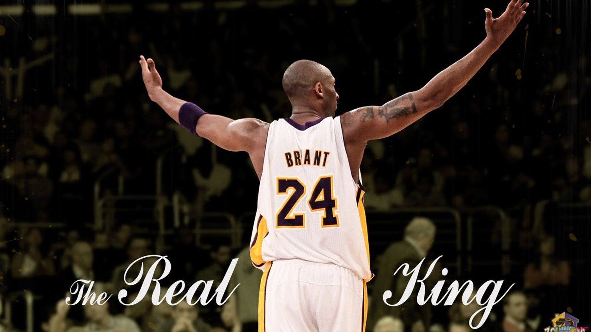 开云体育官网-法比尼奥的救赎与爱尔兰的宣言，当个体英雄主义撞碎历史魔咒